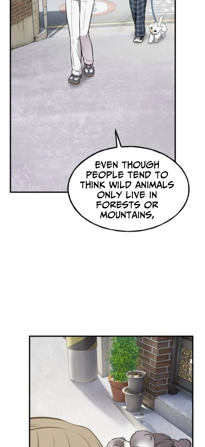 Hello, Fluffy Griffin! Chapter 37 page 11 - 