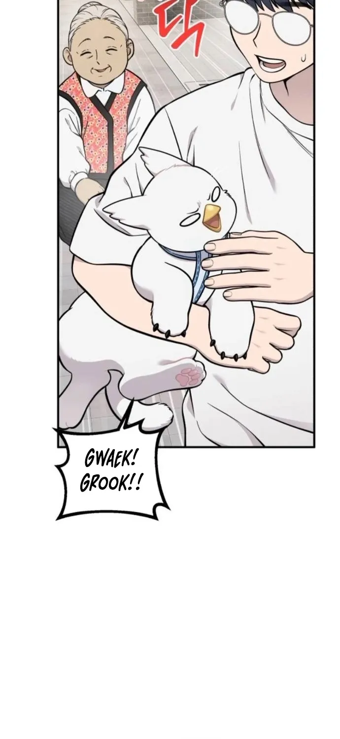 Hello, Fluffy Griffin! Chapter 37 page 66 - 