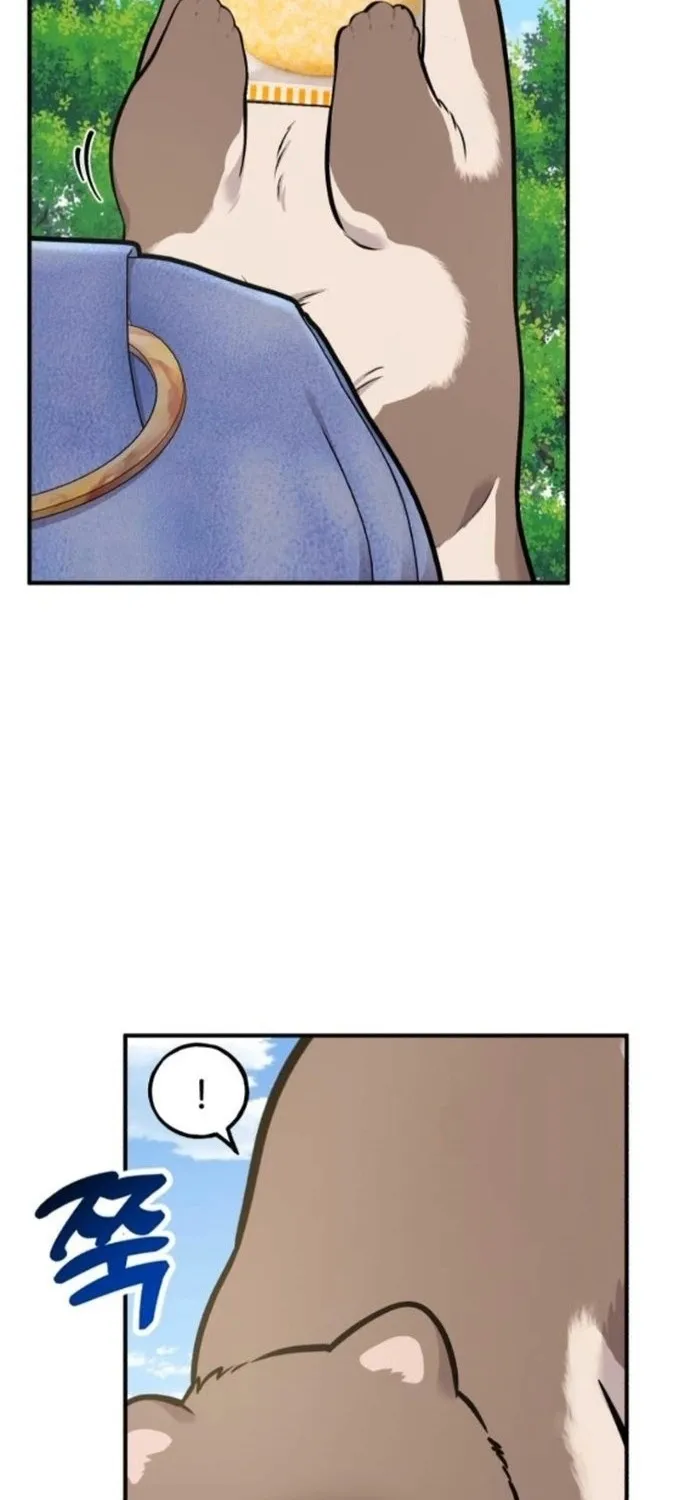 Hello, Fluffy Griffin! Chapter 37 page 77 - 