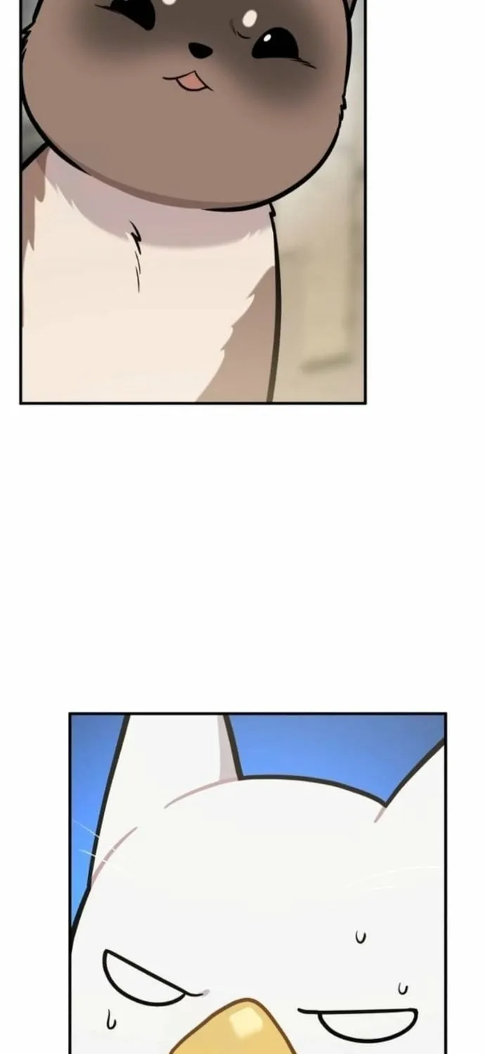Hello, Fluffy Griffin! Chapter 38 page 38 - 