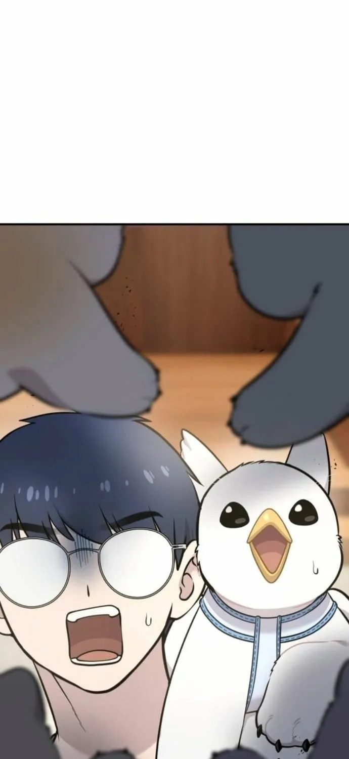 Hello, Fluffy Griffin! Chapter 38 page 5 - 