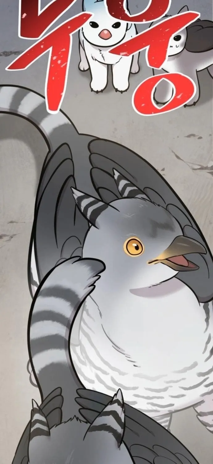 Hello, Fluffy Griffin! Chapter 38 page 92 - 