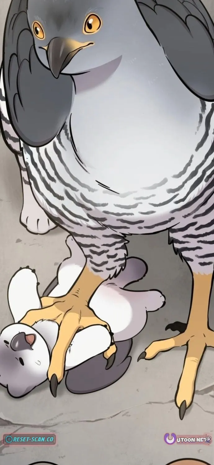 Hello, Fluffy Griffin! Chapter 38 page 93 - 
