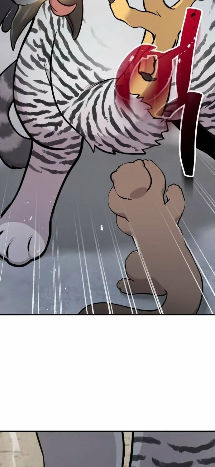 Hello, Fluffy Griffin! Chapter 39 page 19 - 