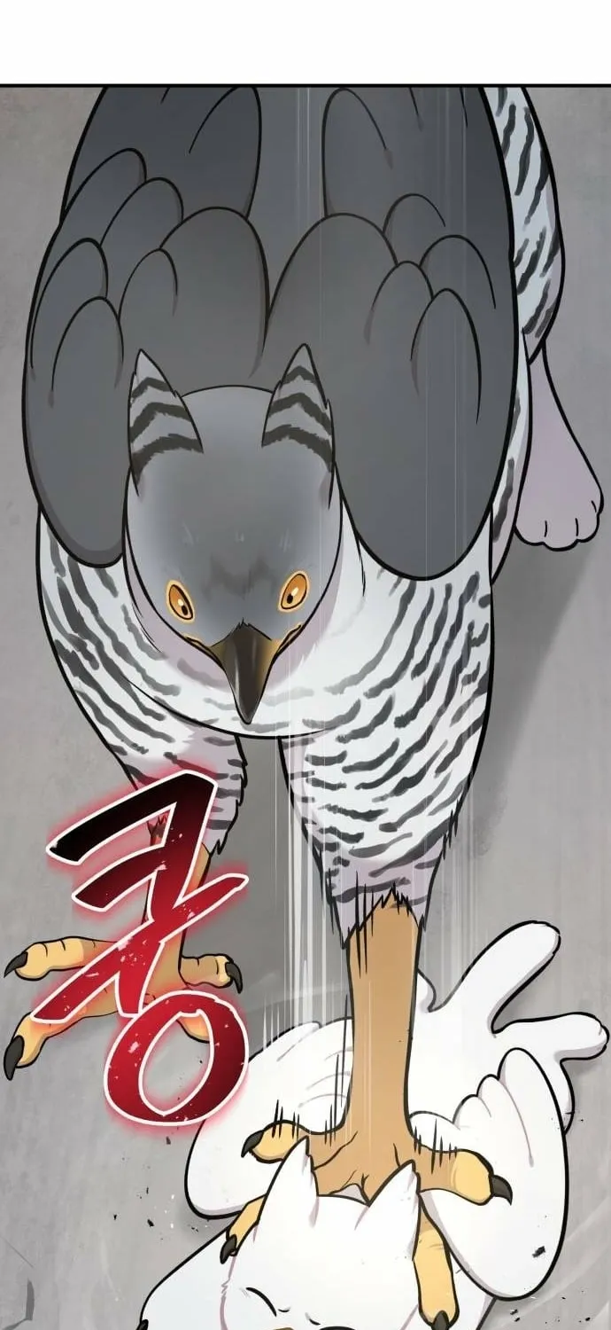 Hello, Fluffy Griffin! Chapter 39 page 27 - 