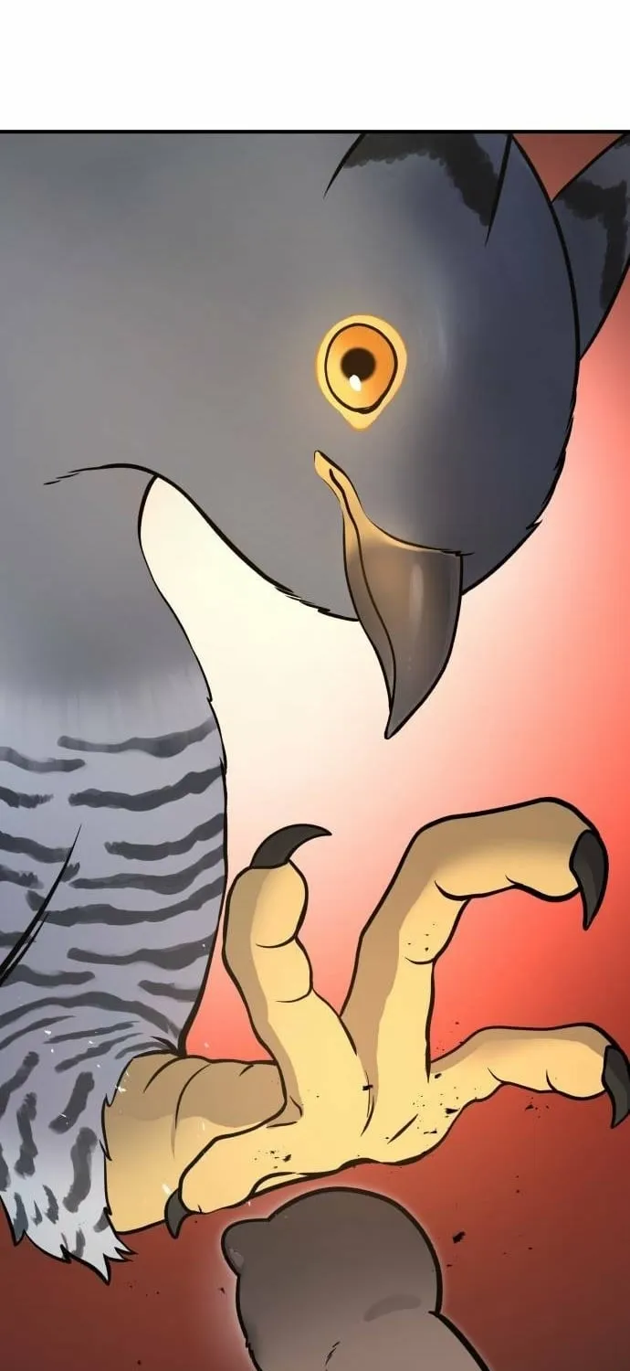Hello, Fluffy Griffin! Chapter 39 page 41 - 