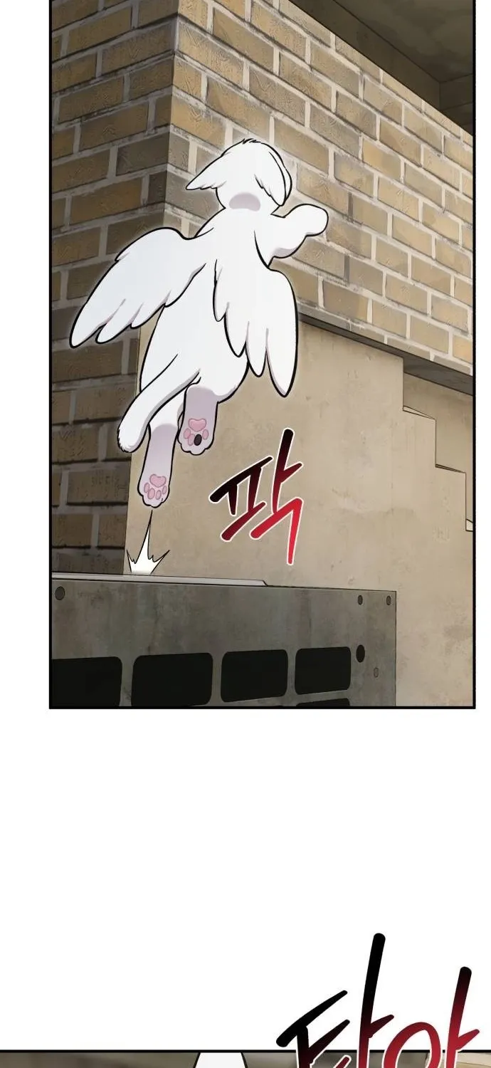 Hello, Fluffy Griffin! Chapter 39 page 53 - 