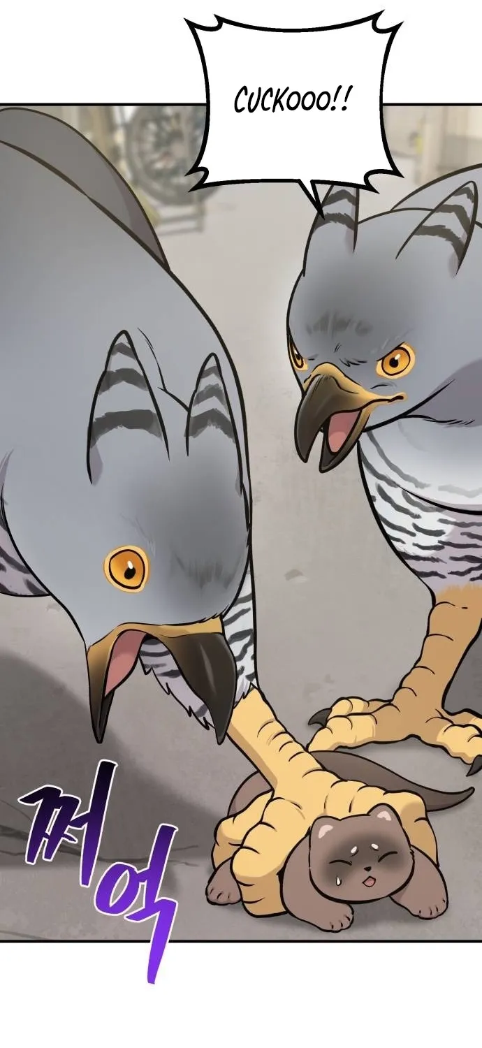 Hello, Fluffy Griffin! Chapter 39 page 58 - 