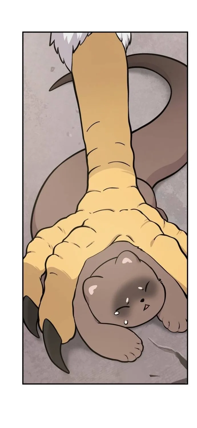 Hello, Fluffy Griffin! Chapter 39 page 61 - 