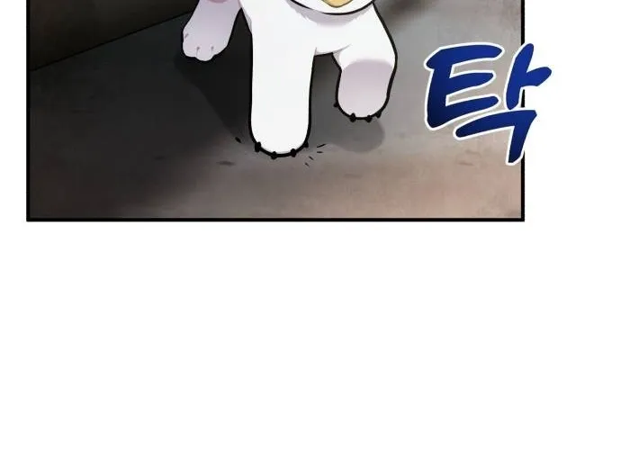 Hello, Fluffy Griffin! Chapter 39 page 64 - 