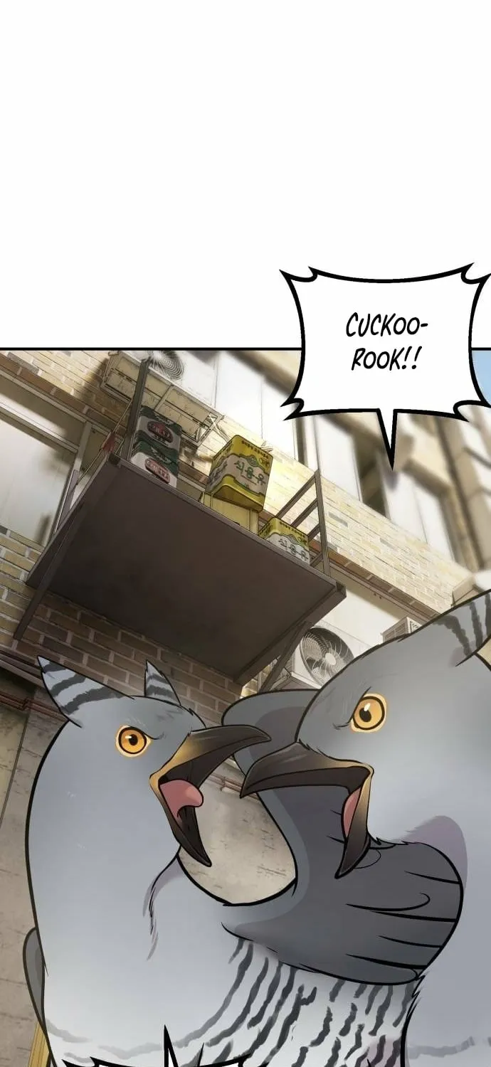 Hello, Fluffy Griffin! Chapter 39 page 67 - 