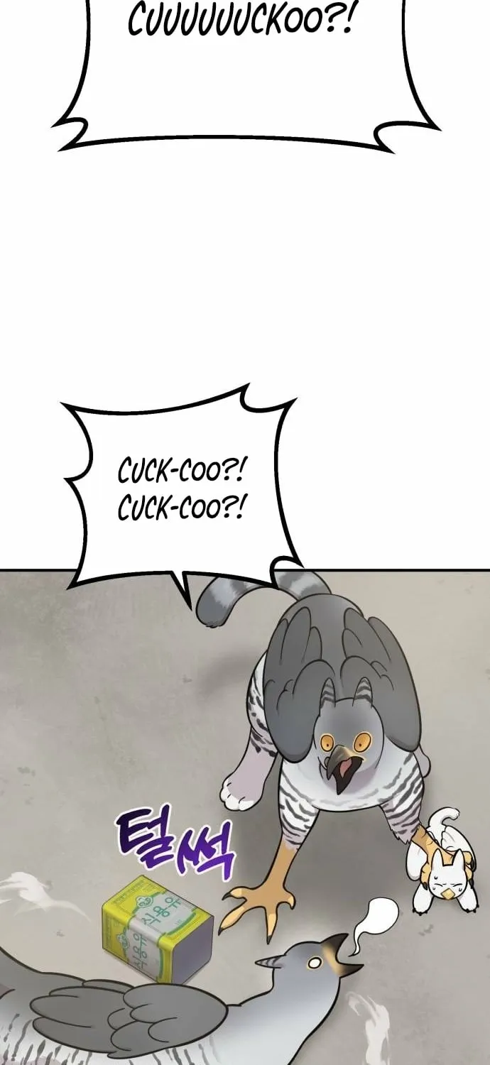 Hello, Fluffy Griffin! Chapter 39 page 73 - 