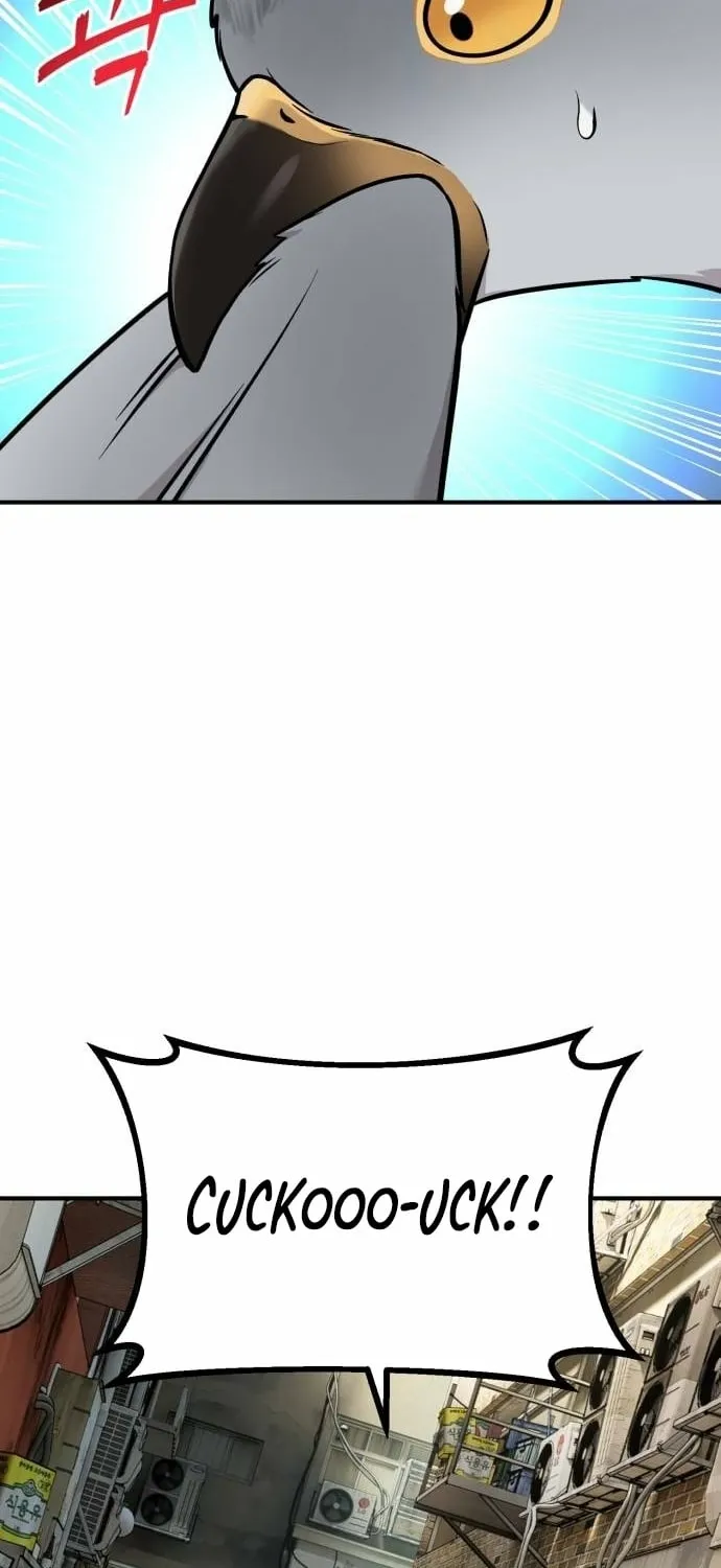 Hello, Fluffy Griffin! Chapter 39 page 78 - 