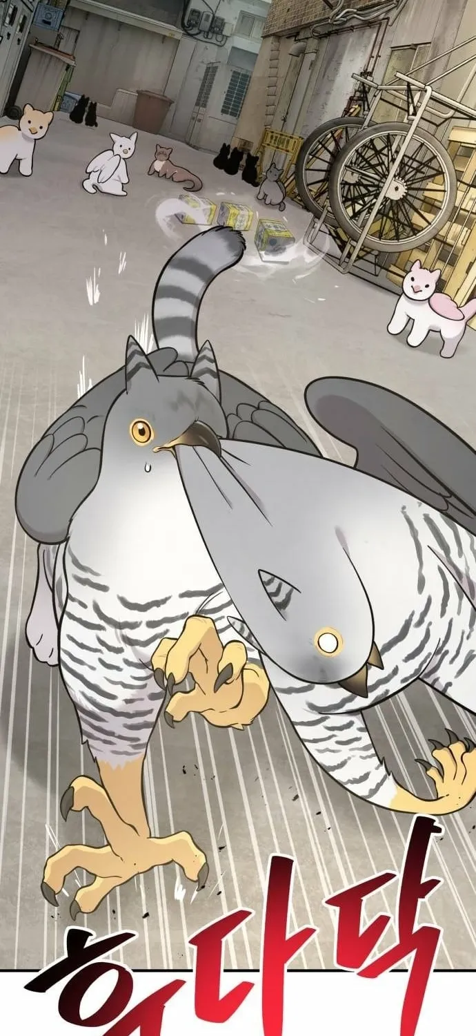 Hello, Fluffy Griffin! Chapter 39 page 79 - 
