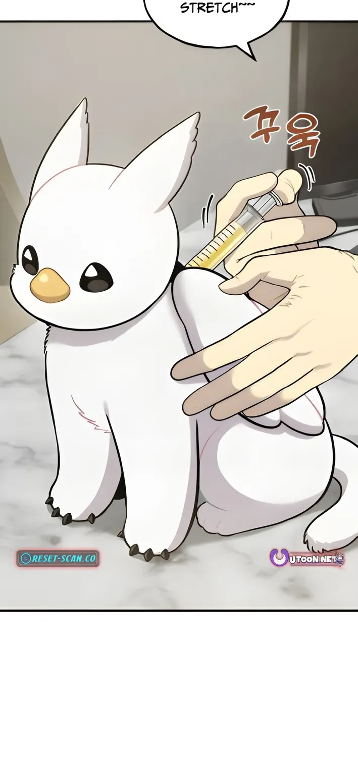 Hello, Fluffy Griffin! Chapter 4 page 2 - 
