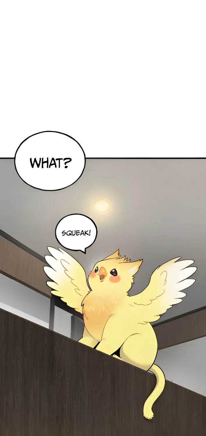 Hello, Fluffy Griffin! Chapter 4 page 20 - 