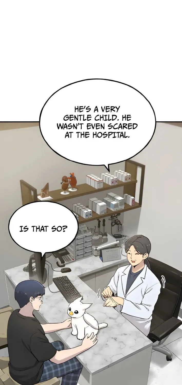 Hello, Fluffy Griffin! Chapter 4 page 3 - 