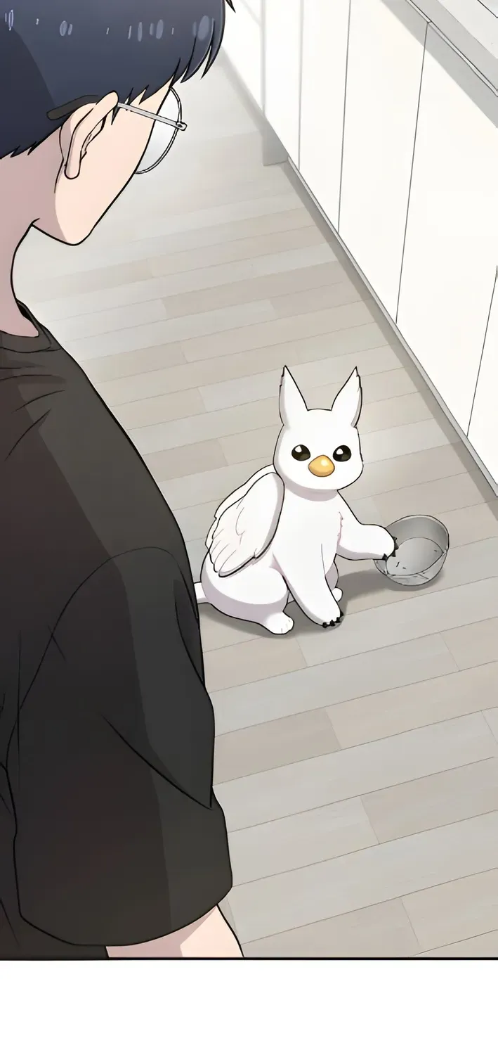 Hello, Fluffy Griffin! Chapter 4 page 64 - 