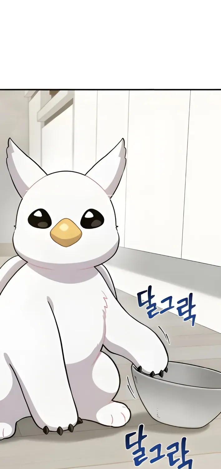 Hello, Fluffy Griffin! Chapter 4 page 65 - 