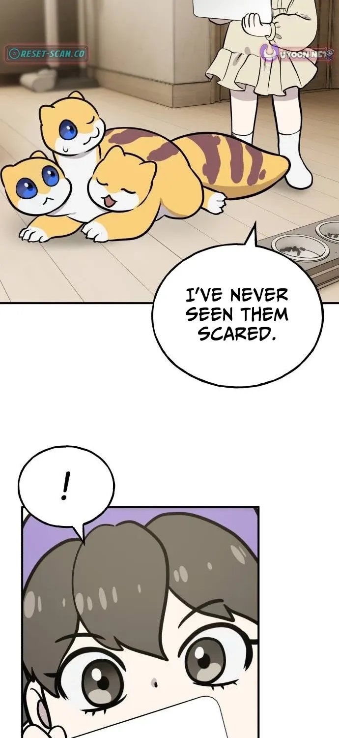 Hello, Fluffy Griffin! Chapter 40 page 102 - 