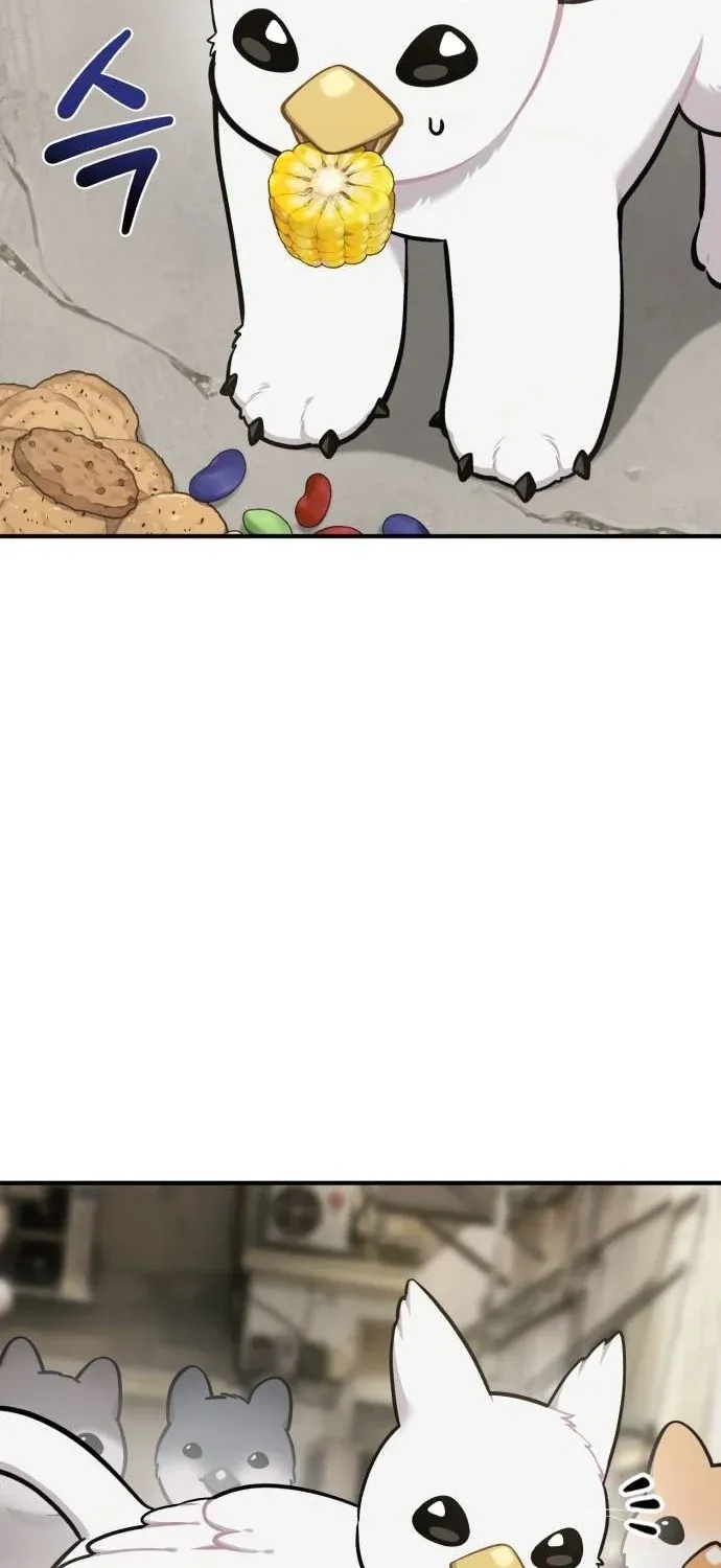 Hello, Fluffy Griffin! Chapter 40 page 41 - 