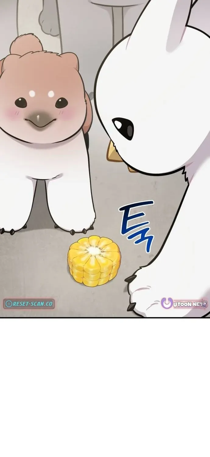 Hello, Fluffy Griffin! Chapter 40 page 43 - 