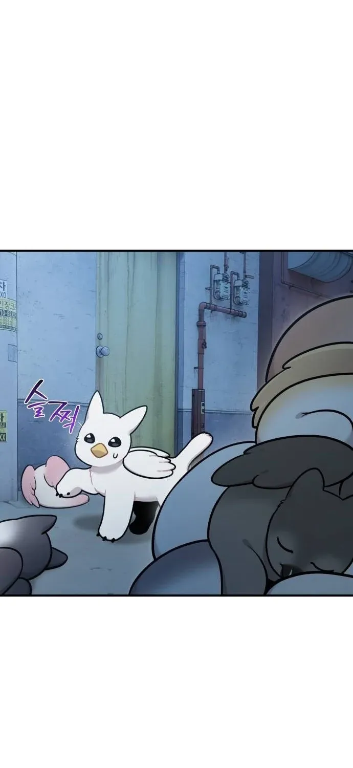 Hello, Fluffy Griffin! Chapter 40 page 65 - 