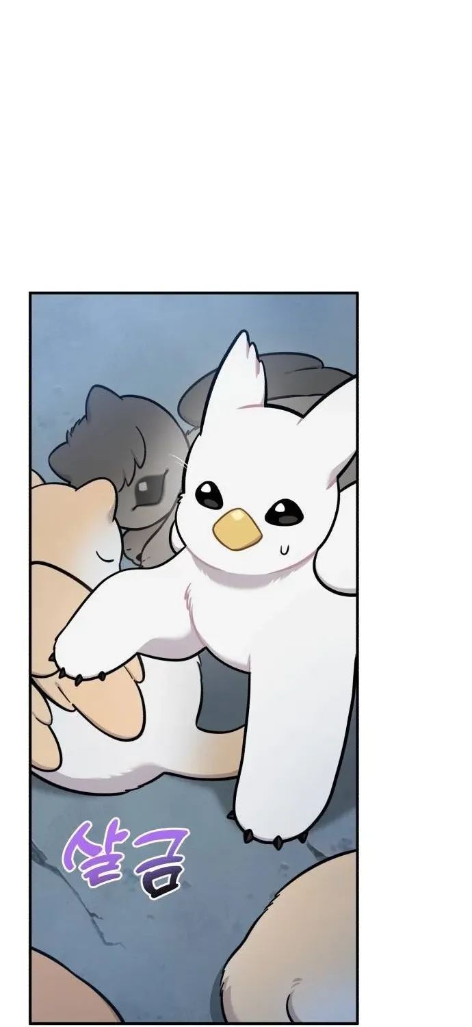 Hello, Fluffy Griffin! Chapter 40 page 70 - 
