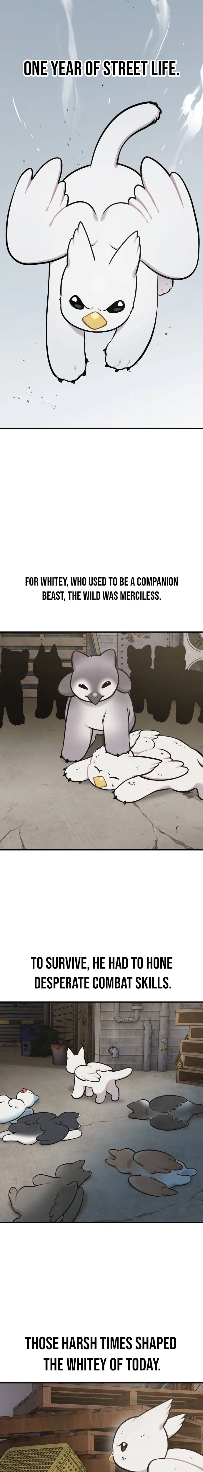 Hello, Fluffy Griffin! Chapter 41 page 13 - 