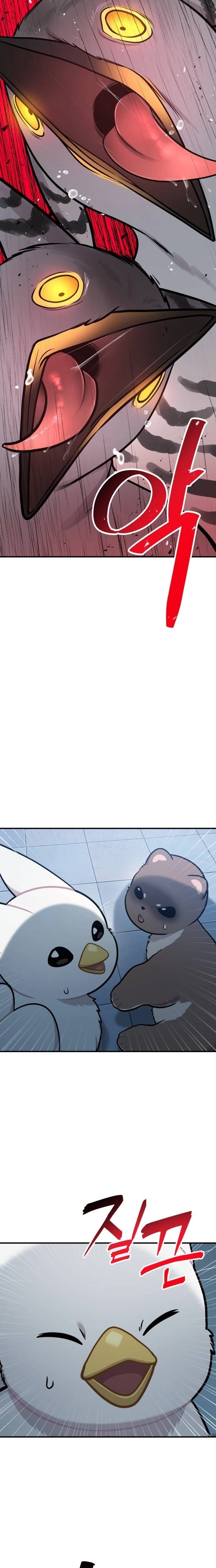 Hello, Fluffy Griffin! Chapter 41 page 5 - 
