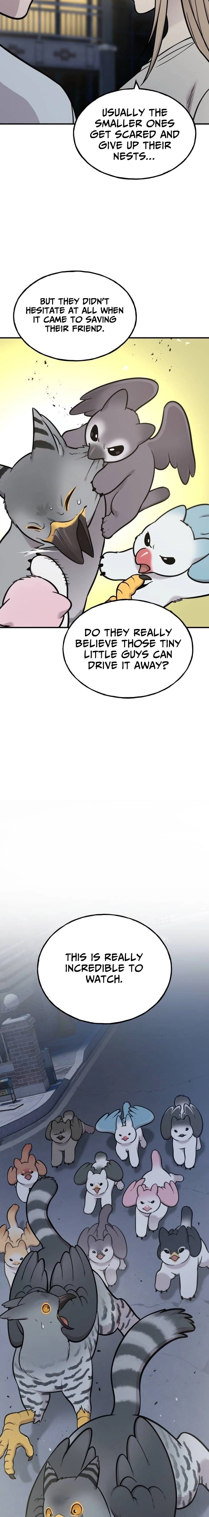 Hello, Fluffy Griffin! Chapter 42 page 5 - 