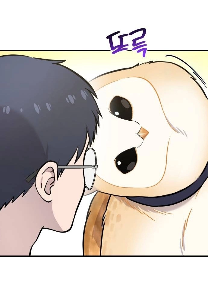 Hello, Fluffy Griffin! Chapter 45 page 45 - 