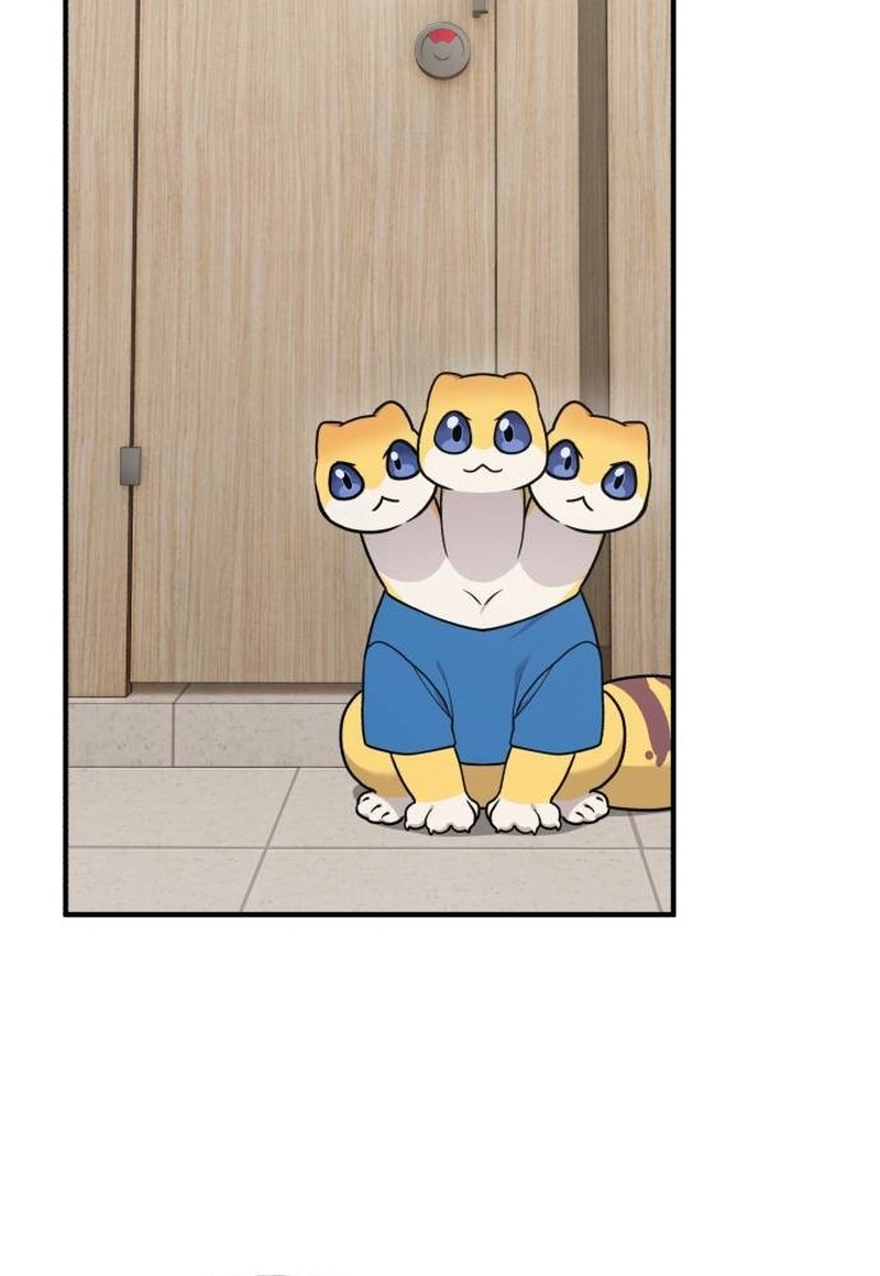 Hello, Fluffy Griffin! Chapter 46 page 49 - 