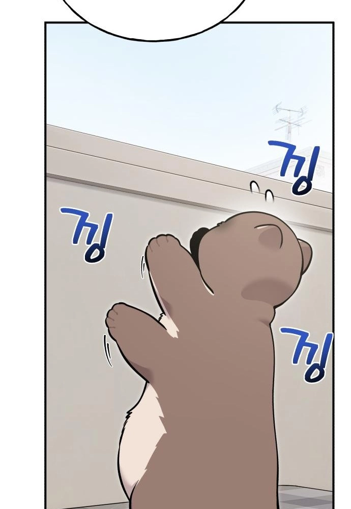 Hello, Fluffy Griffin! Chapter 47 page 109 - 