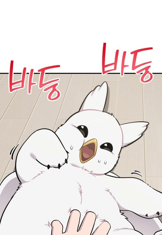 Hello, Fluffy Griffin! Chapter 47 page 91 - 
