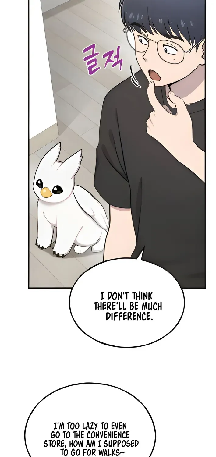 Hello, Fluffy Griffin! Chapter 5 page 26 - 