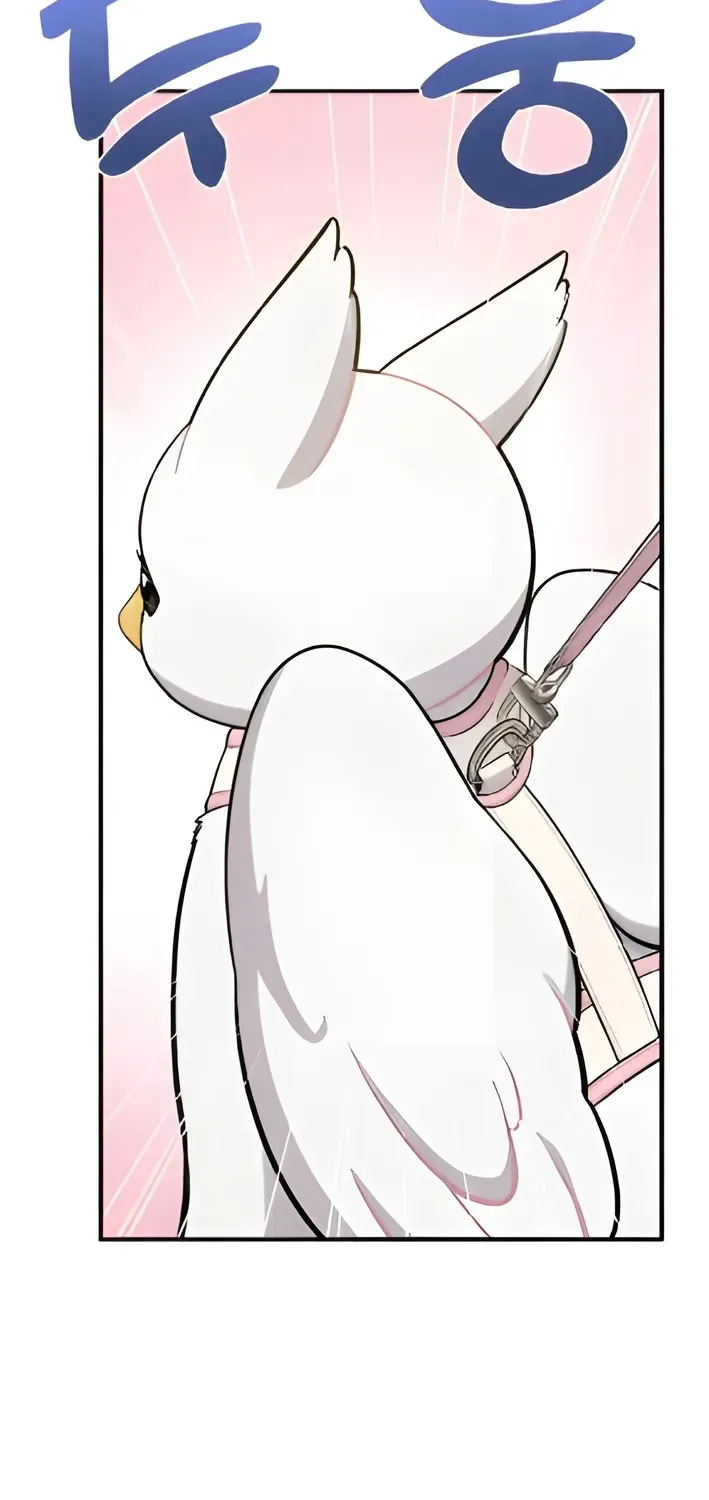Hello, Fluffy Griffin! Chapter 5 page 81 - 