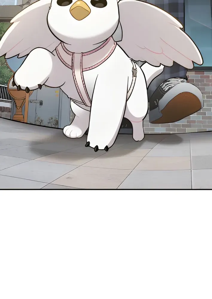 Hello, Fluffy Griffin! Chapter 6 page 21 - 