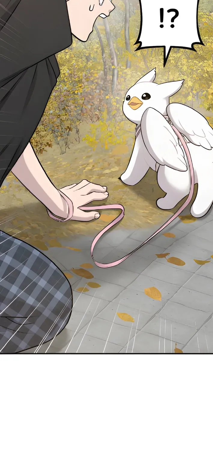 Hello, Fluffy Griffin! Chapter 6 page 54 - 