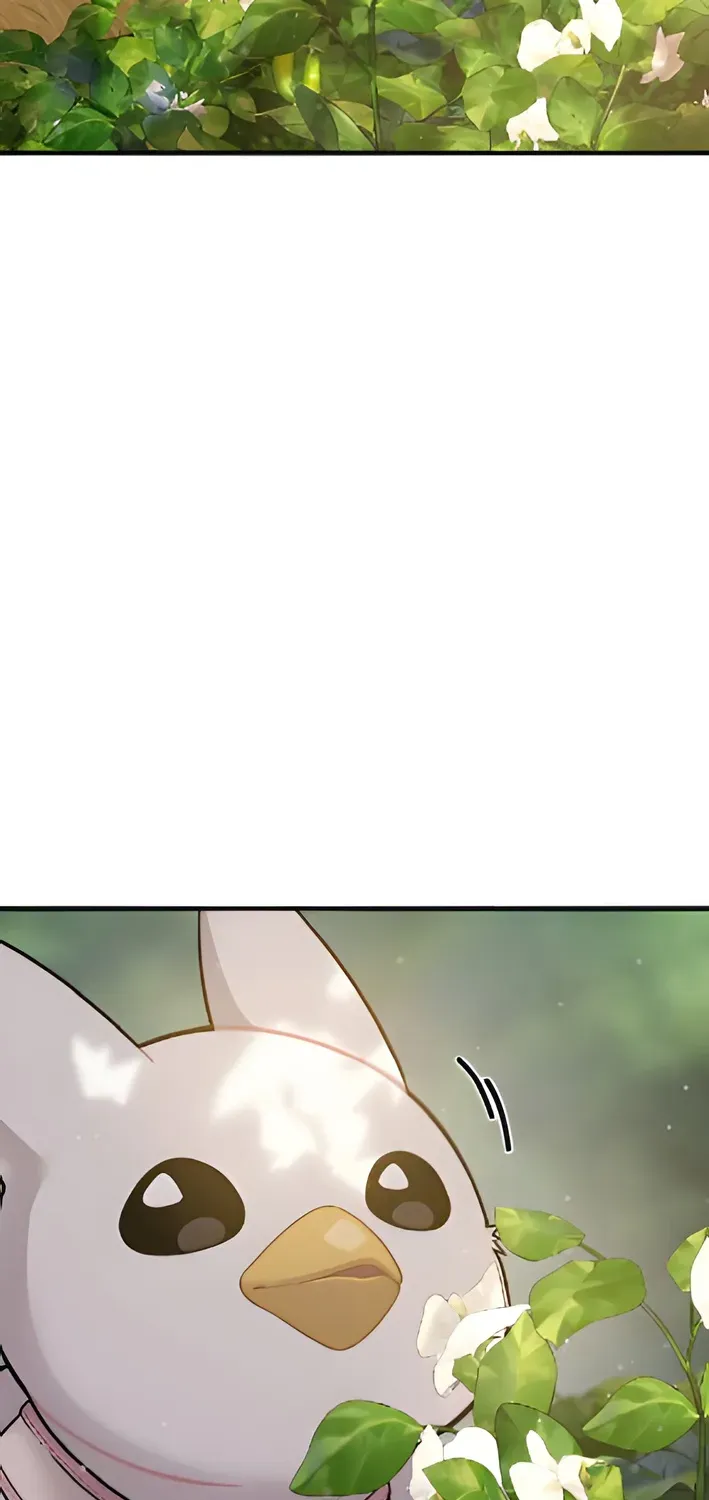 Hello, Fluffy Griffin! Chapter 6 page 73 - 