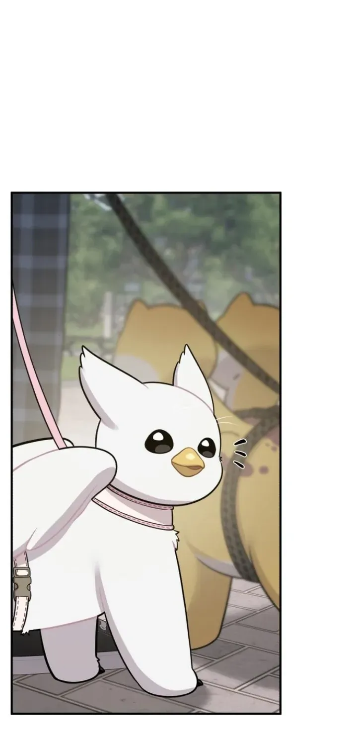 Hello, Fluffy Griffin! Chapter 7 page 26 - 