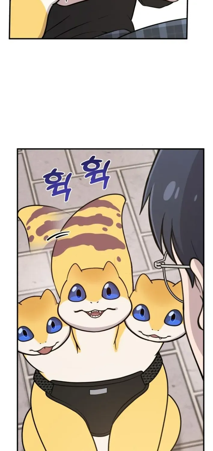 Hello, Fluffy Griffin! Chapter 7 page 61 - 