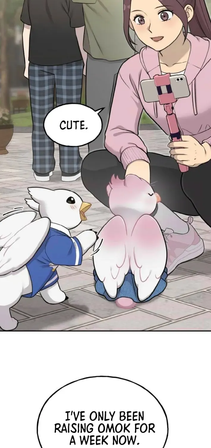 Hello, Fluffy Griffin! Chapter 9 page 34 - 
