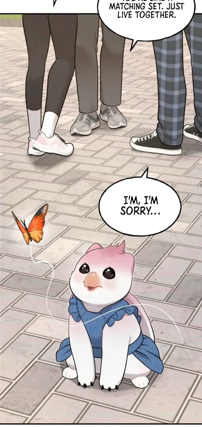 Hello, Fluffy Griffin! Chapter 9 page 52 - 