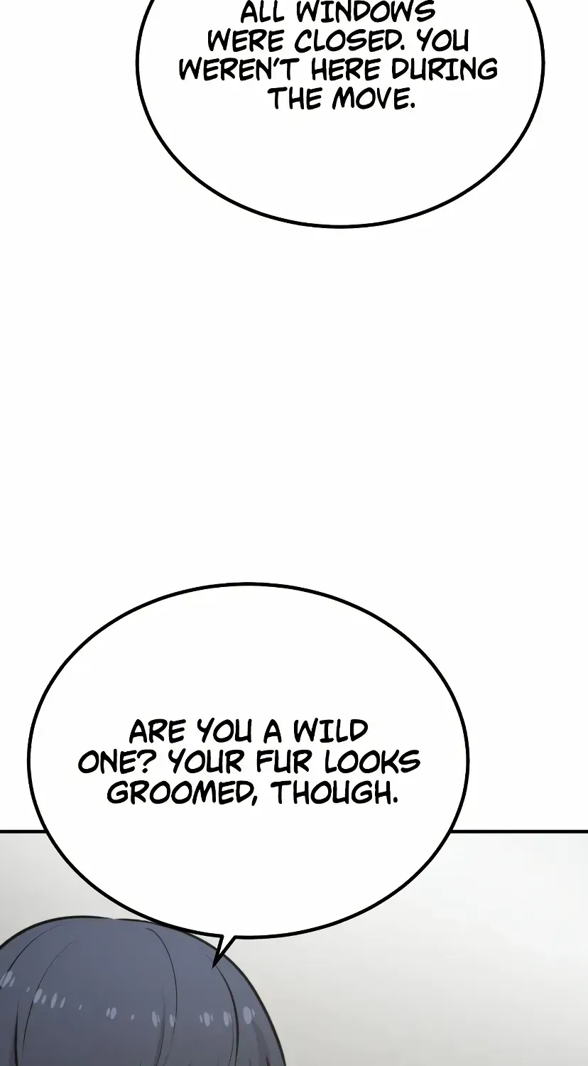 Hello, Griffin the Fluffy Bird! Chapter 1.1 page 37 - 