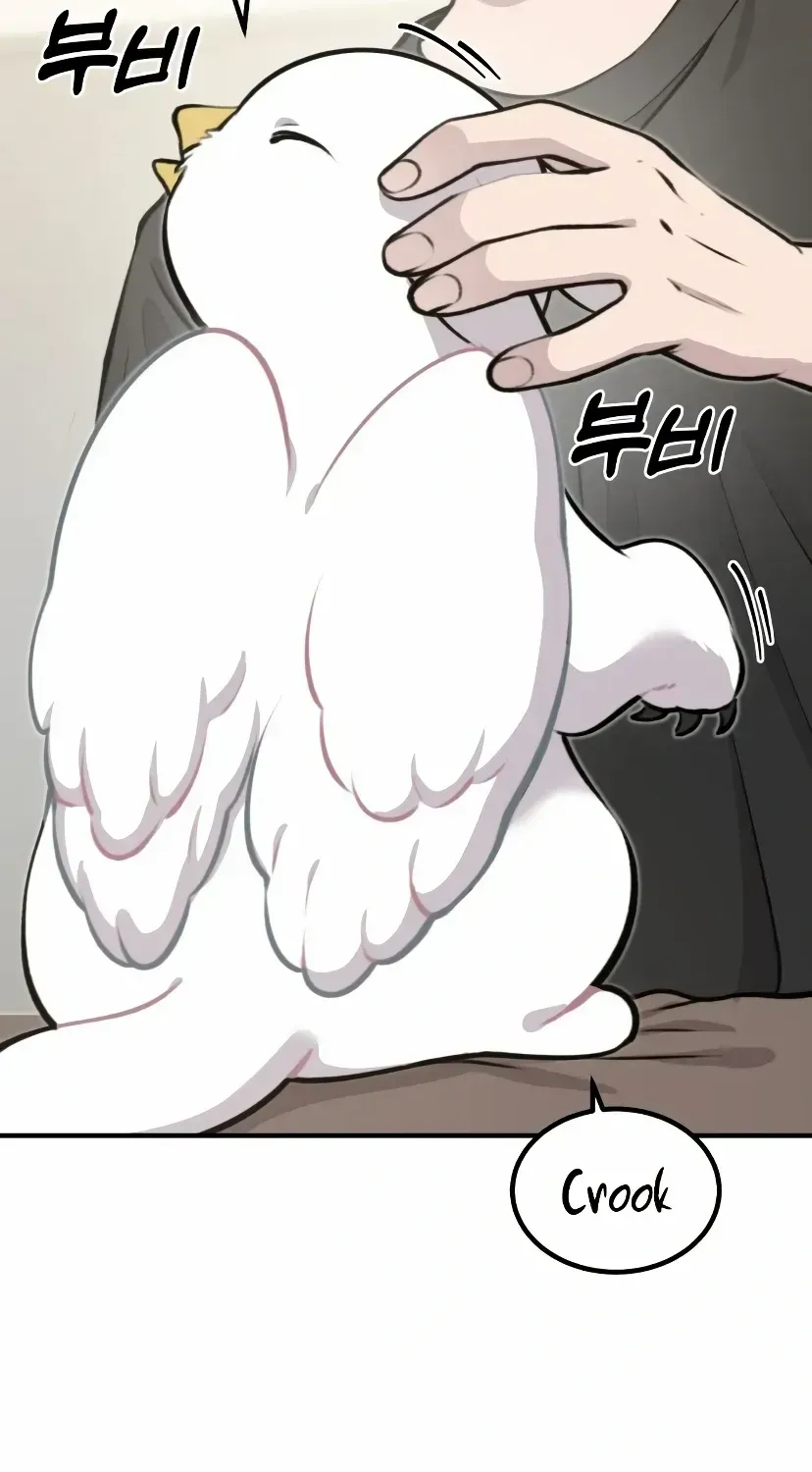 Hello, Griffin the Fluffy Bird! Chapter 1.1 page 43 - 