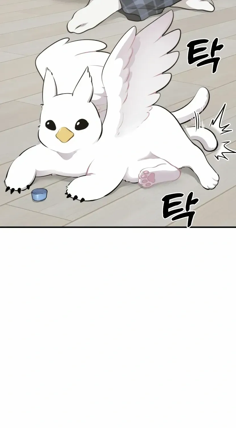 Hello, Griffin the Fluffy Bird! Chapter 1.1 page 84 - 