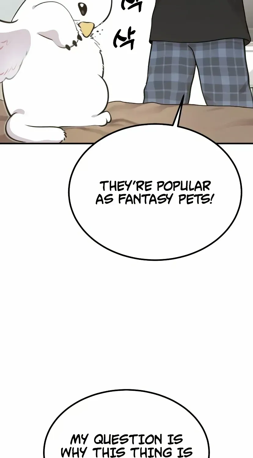 Hello, Griffin the Fluffy Bird! Chapter 1.2 page 34 - 