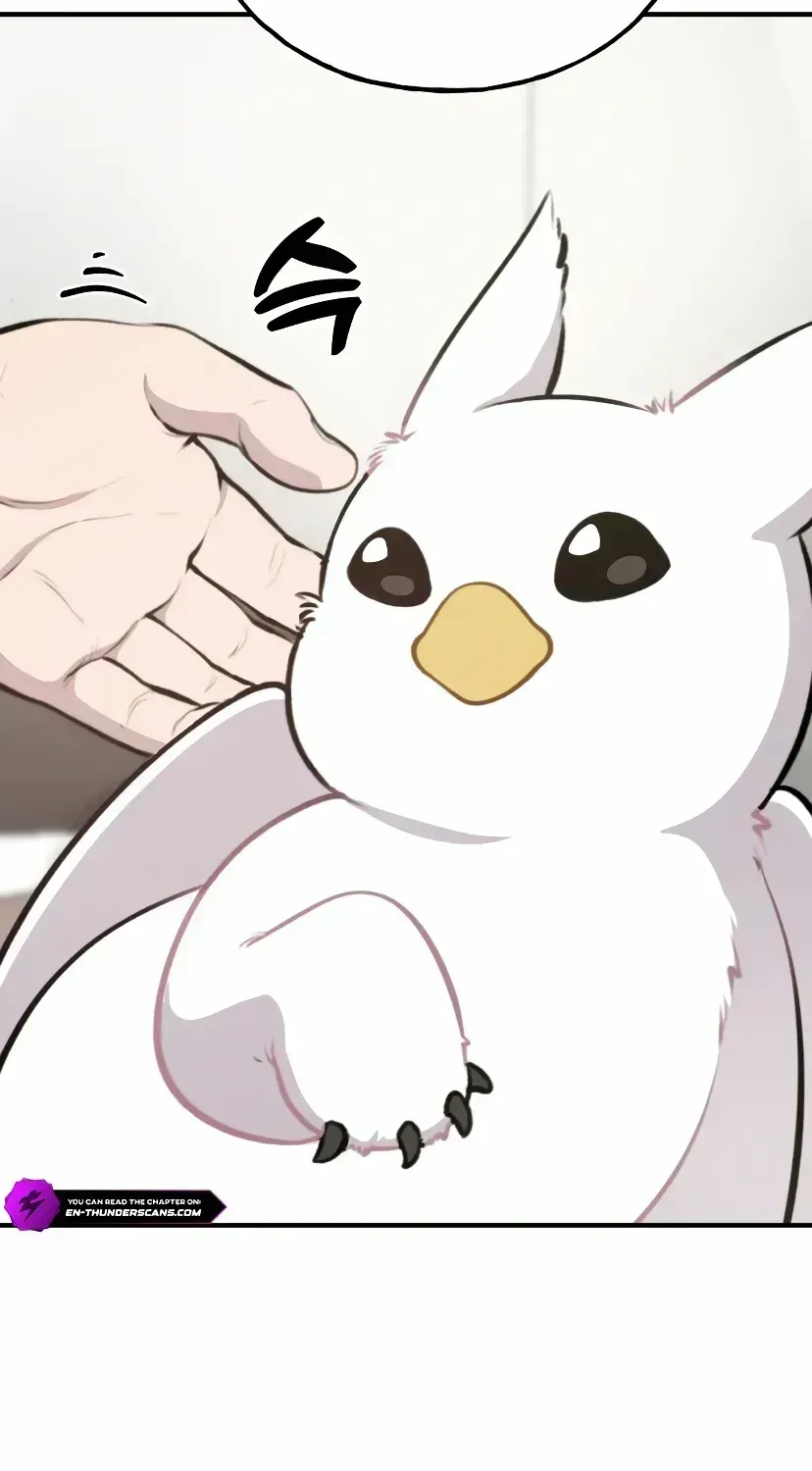Hello, Griffin the Fluffy Bird! Chapter 1.2 page 46 - 