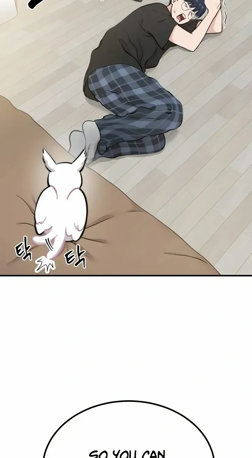Hello, Griffin the Fluffy Bird! Chapter 1.2 page 51 - 